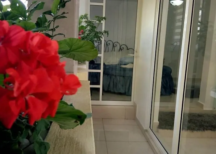 Apartamento Departamento María Félix - Dpto De 1 Habitación Con Bella Terraza Común - Zona Tranquila En Cdmx *