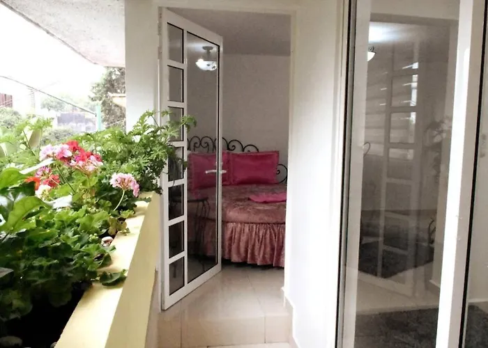 Departamento María Félix - Dpto De 1 Habitación Con Bella Terraza Común - Zona Tranquila En Cdmx