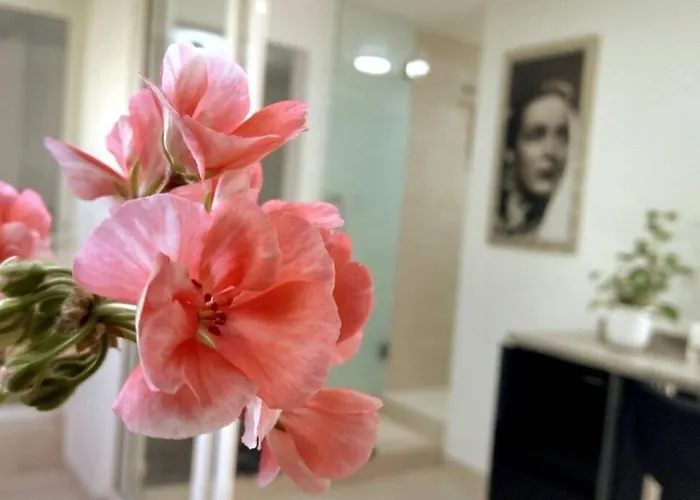 Departamento María Félix - Dpto De 1 Habitación Con Bella Terraza Común - Zona Tranquila En Cdmx *