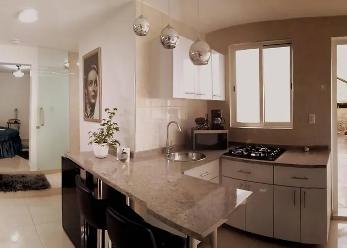 Departamento María Félix - Dpto De 1 Habitación Con Bella Terraza Común - Zona Tranquila En Cdmx * México DF