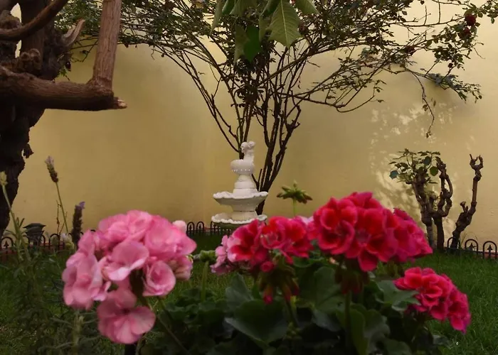 Apartamento Departamento María Félix - Dpto De 1 Habitación Con Bella Terraza Común - Zona Tranquila En Cdmx México DF
